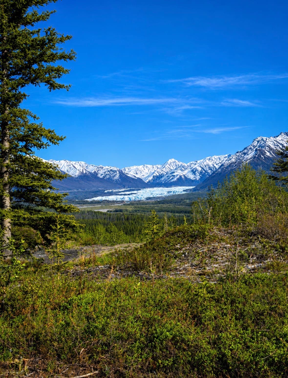 
Why Guests Love Staying Here

Spectacular glacier and mountain views
Cozy rustic cabins with heat and electricity
Quiet campground away from crowds
Direct access to hiking, biking, and ATV trails
Friendly local hosts who know the area
Minutes from Matanuska Glacier adventures